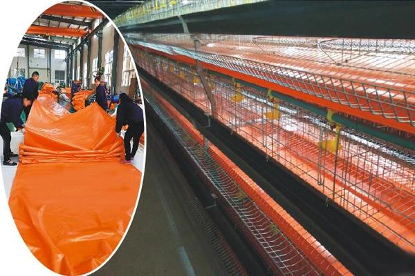 Top Aplicações de Lona de Raça de PVC para Pecuária
