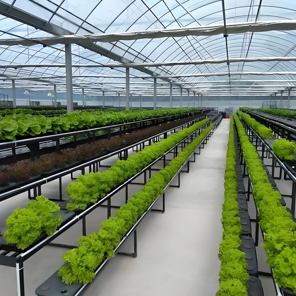 Greenhouse