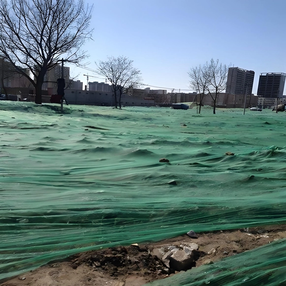 Safety Fence